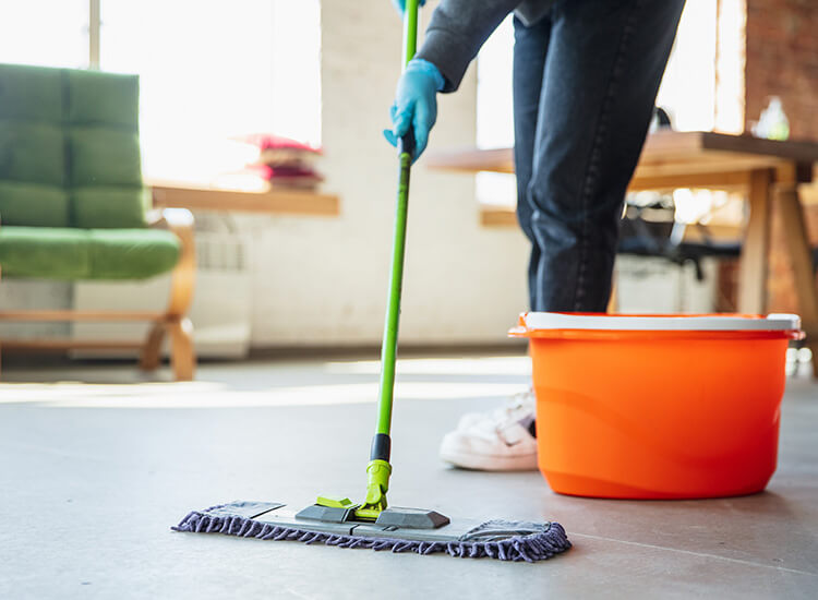 Importance of Professional Cleaning